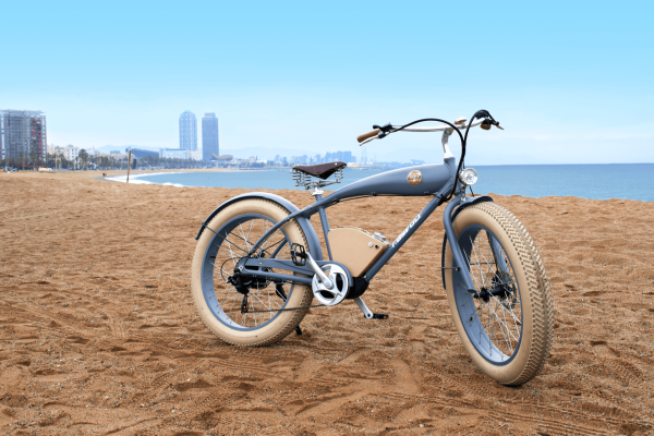 Big E-Bird Beach Bike